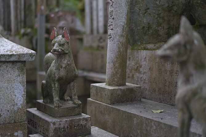 1-Day Kyoto and Nara Highlights Day Trip with a Private Car - Kasuga Taisha and Horyu-ji, UNESCO value without extra planning
