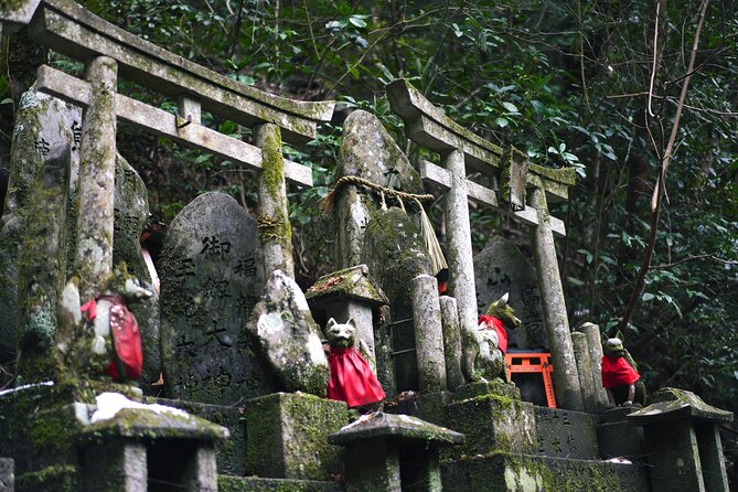 1-Day Kyoto and Nara Highlights Day Trip with a Private Car - Price and value: what $552.76 buys you per person