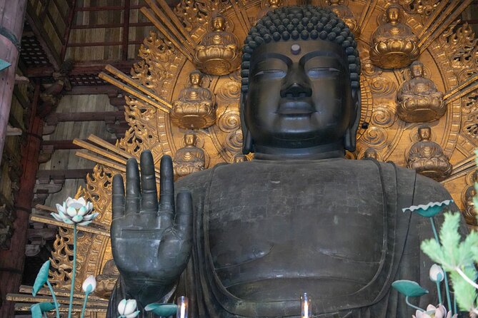 1-Day Kyoto and Nara Highlights Day Trip with a Private Car - Who this tour is best for