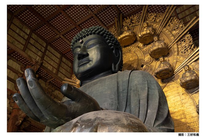 1-Day Kyoto Uji & Nara Tour with Tea Ceremony - Key highlights you’ll feel right away