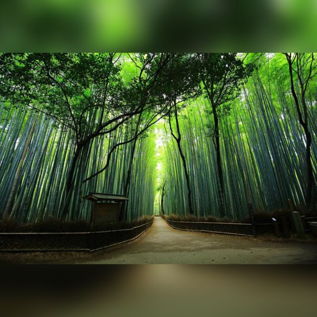 10 Hrs Full day Kyoto Tour w/Hotel Pick-up - Gion and the kimono forest: the Kyoto that looks like a postcard