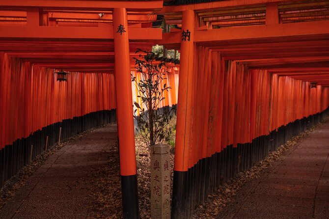 10 Must-see Spots in Kyoto One Day Private Tour (up to 7 people) - Stop 1: Kinkaku-ji (Golden Pavilion) and Its Shogun-Era Power