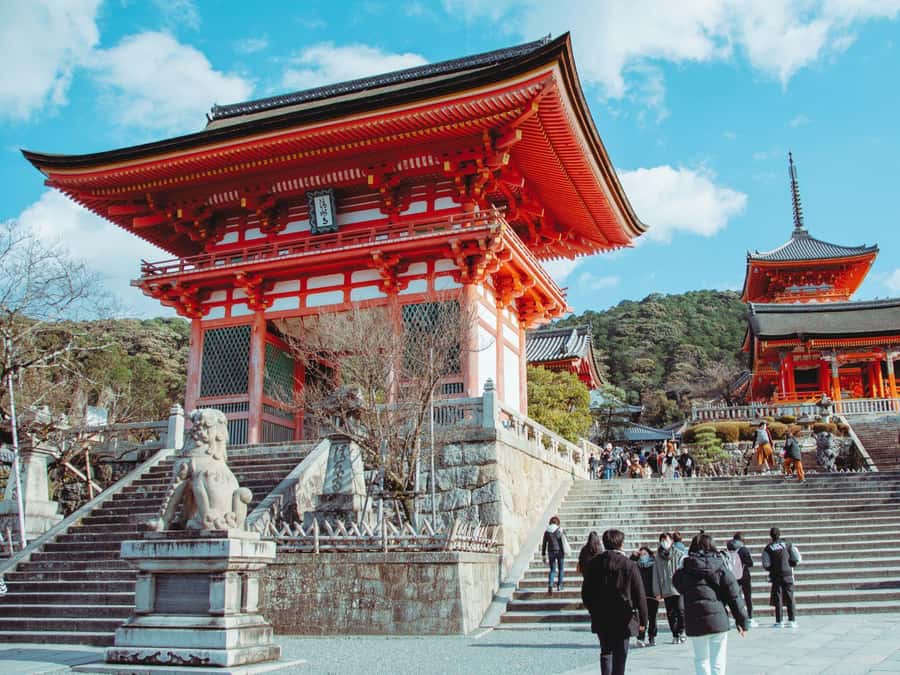 [2.3km / 1.43mi] Kyoto East Early Morning Walking Tour - Key reasons this early walk works