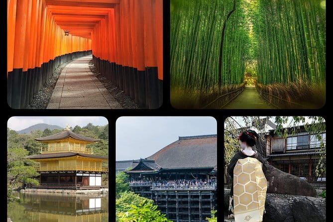 4 Hours Arashiyama and Arashiyama Monkey Park Tour - Who should book this tour, and who should think twice