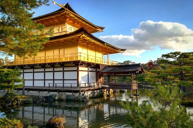 5 Top Highlights of Kyoto Full Day Bike Tour (E-bike option) - Stop 1: Bamboo Forest Street, the part you actually hear