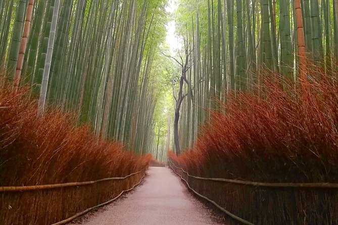 5 Top Highlights of Kyoto Full Day Bike Tour (E-bike option) - Stop 4: Kiyomizu-dera, the iconic view plus the walk