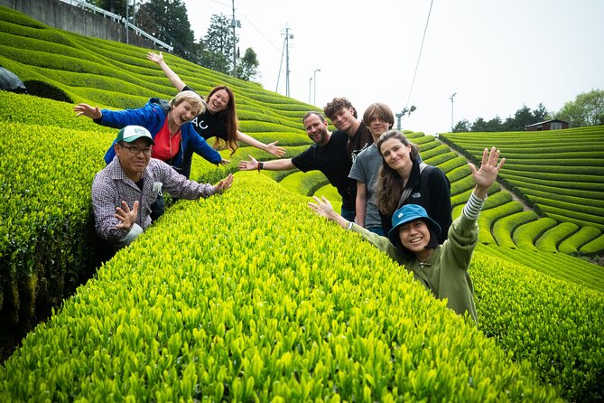 7hr Private Wazuka True Hidden Kyoto Matcha Farm Experience - Meeting a 5th Generation Matcha Farmer, Not a Script