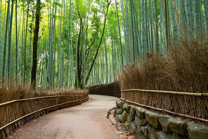 8 hours Arashiyama Monkey Park Ryoanji and Kinkaku ji Tour - Monkey Park Views and Wildlife Time With a Guide
