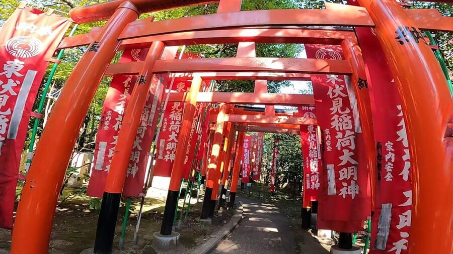 A private day in East Kyoto standard - Price and what you actually get for $212 per person