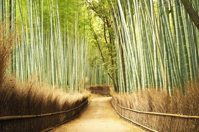 A trip to Kyoto and Osaka in one day - Price and logistics: what you are really buying
