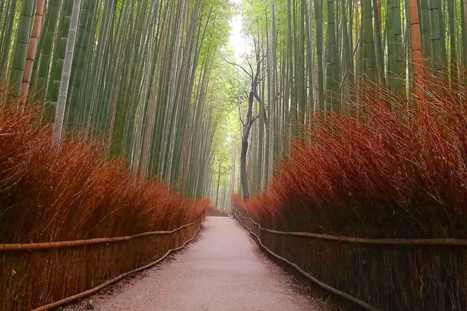 Afternoon Kyoto Bike Tour: Bamboo Forest, Monkeys & Hidden Spots - Stop-by-stop: from Iwatayama monkeys to bamboo soundscapes