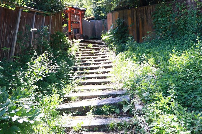 ALL INCLUDED:Short Exclusive Hidden Kyoto Private Tour with Local - Garden calm, national treasures, and a break that turns sightseeing into real rest