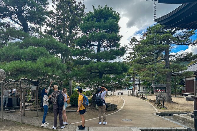All-Inclusive Kyoto Day Tour: Amanohashidate, Miyama or Ohara - Private Kyoto Routes, Pick Your Mood and Your Scenery