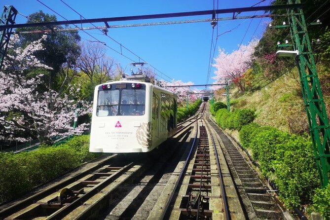 Amanohashidate & Miyama 1-Day Bus Tour: From Osaka/Kyoto w/ Lunch - Booking This Tour: Price, Timing, and What Your Money Actually Buys