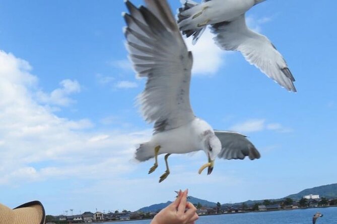 Amanohashidate & Miyama 1-Day Bus Tour: From Osaka/Kyoto w/ Lunch - Day at a Glance: How the Route Feels in Real Life