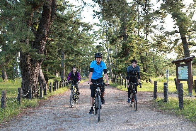 Amanohashidate Sand bar & culture e-bike tour - Stop 1: Amanohashidate Shrine, the moment the sandbar story starts