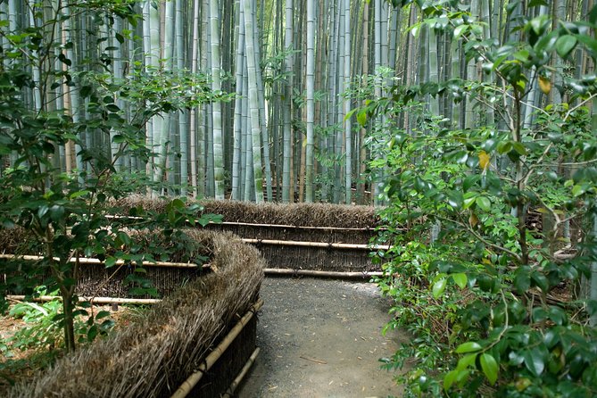 Arashiyama Bamboo Forest E-Biking Tour - Where you start (and why meeting point matters in Kyoto)