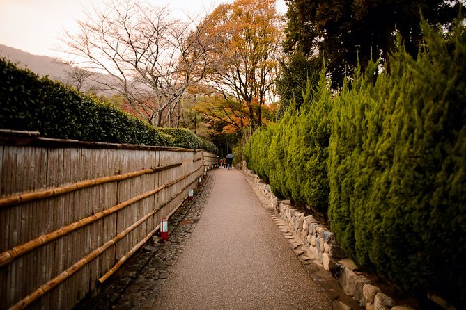 Arashiyama Bamboo Forest E-Biking Tour - Stop 1: Otagi Nenbutsu-ji Temple, statues and that quiet off-the-map feeling