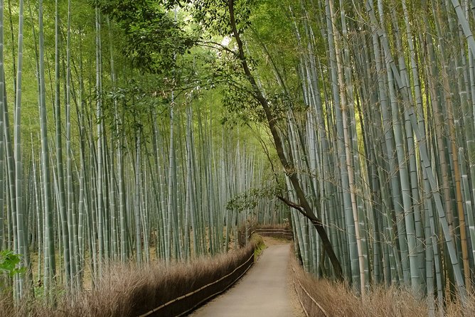 Arashiyama Bamboo Forest E-Biking Tour - Stop 2: Tōji-in, mossy calm and a contemplative pause
