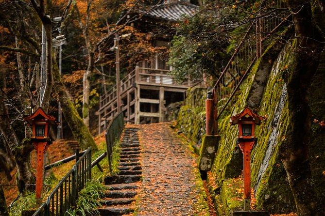 Arashiyama Bamboo Forest E-Biking Tour - Stop 3: Arashiyama Bamboo Forest Trail, bikes parked and the big walk