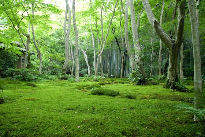 Arashiyama Bamboo Forest E-Biking Tour - The guide factor: why different names keep showing up in good reviews