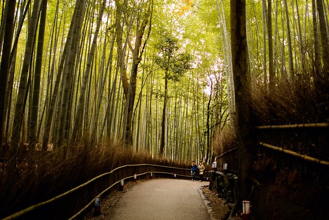 Arashiyama Bamboo Forest E-Biking Tour - Getting your e-bike and staying comfortable for the full 4 hours