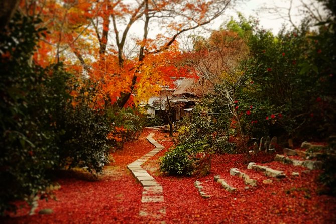 Arashiyama Bamboo Forest & Hidden Gems Bike Tour (Early Bird) - Tenryu-ji Temple and Sogenchi Teien Zen garden