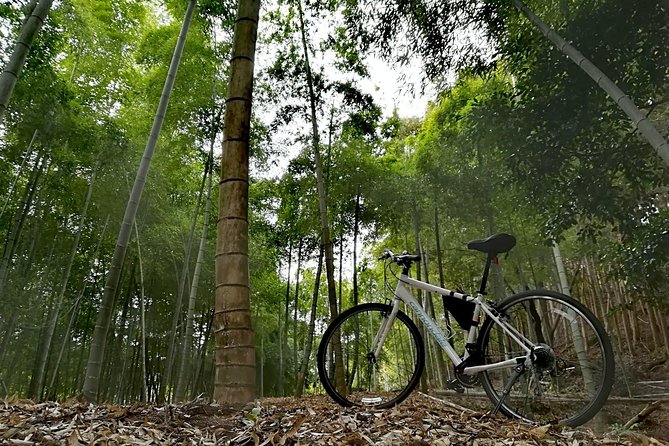 Arashiyama Bamboo Forest & Hidden Gems Bike Tour (Early Bird) - What you learn beyond the sights