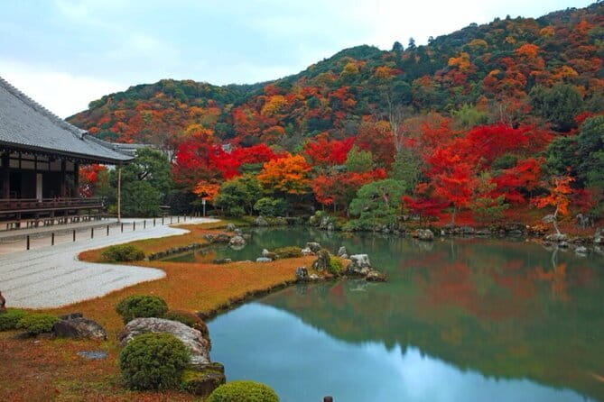 Arashiyama Bamboo & "Must See" Gardens with an Amazing Guide - Bamboo Forest Street Photos, Without Turning It Into a Sprint