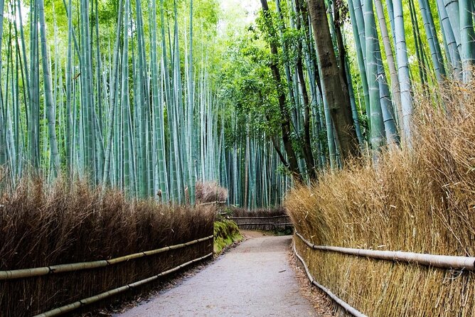 Arashiyama from Kyoto: Private & Personalized with a Local Guide - Jojakko-ji moss gardens and the 12-meter pagoda view
