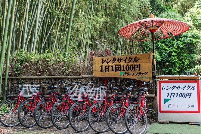 Arashiyama from Kyoto: Private & Personalized with a Local Guide - Monkey Park Iwatayama: macaques, steep steps, and big payoffs