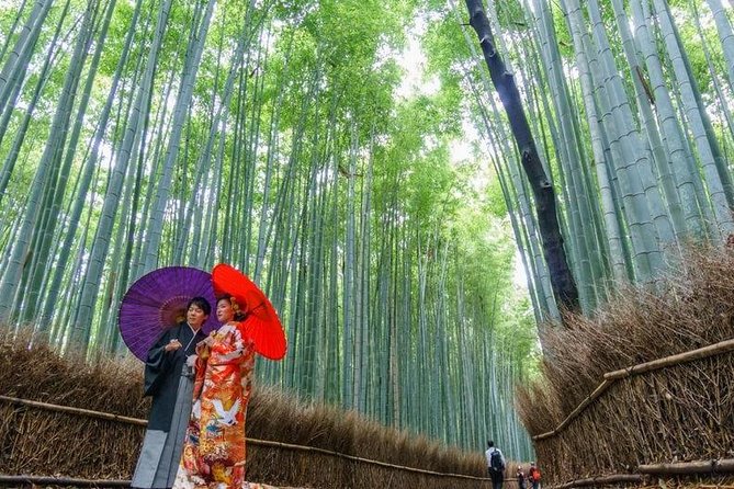 Arashiyama from Kyoto: Private & Personalized with a Local Guide - The bamboo grove: pretty, crowded, and best handled with a plan