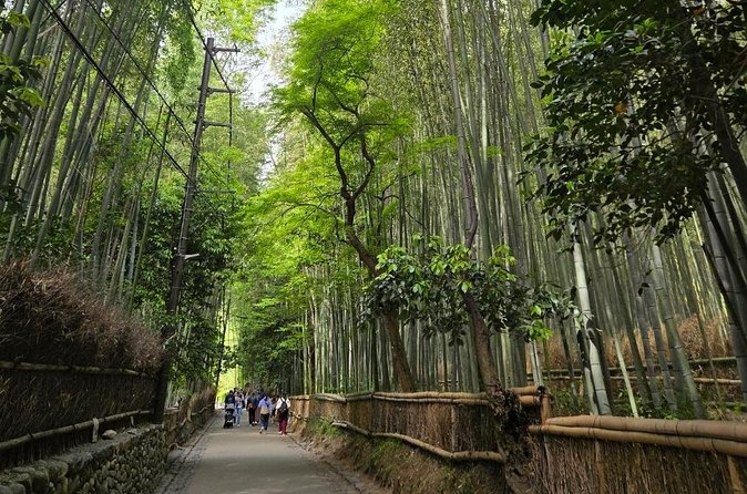 Arashiyama Half Day Tour - Stop 3: Tenryu-ji Temple, UNESCO Zen garden time