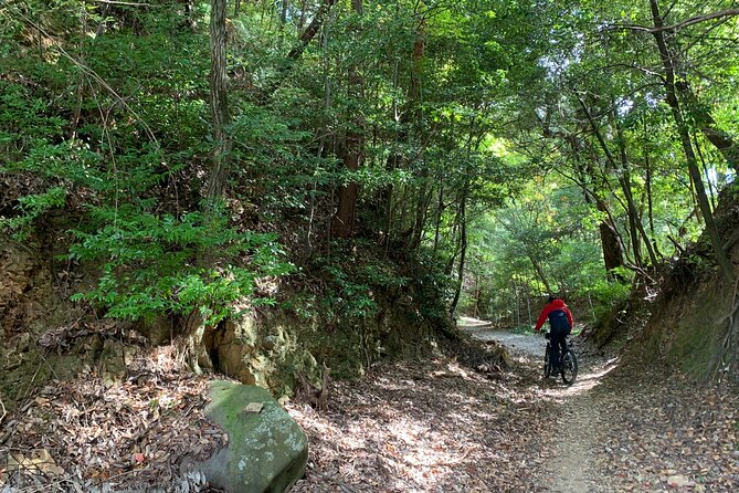 Arashiyama Kinkakuji Quiet Trail E-Bike Tour with Hotel Transfer - Bamboo Forest Walks and the Moment It Feels Like You Left the Main Sights