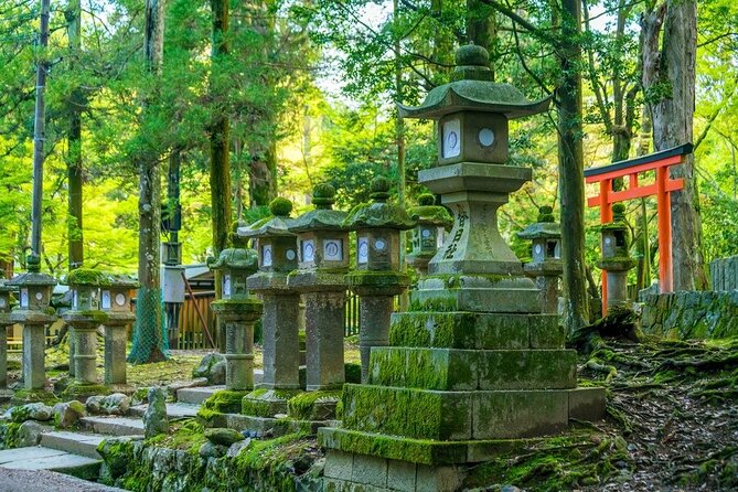 Arashiyama & Nara Highlights: One-Day Private Tour Adventure - Todaiji at 3:30 and Kasuga Shrine at 4:30: two kinds of awe