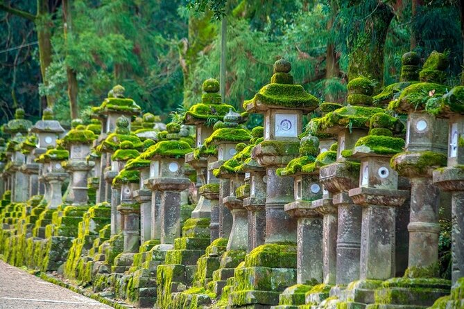 Arashiyama & Nara Highlights: One-Day Private Tour Adventure - Price and what you actually get for $490 per group