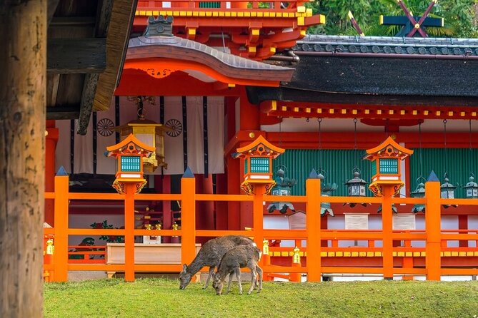 Arashiyama & Nara Highlights: One-Day Private Tour Adventure - What to expect in real walking time and pace