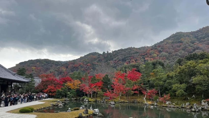 Arashiyama/Tenryu-ji Temple Guided Tour - Arashiyama in 90 Minutes, Why This Season Spotting Works