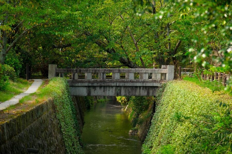 Bamboo Artistry & Zen Serenity: Tranquility with Ginkaku-ji - Lunch and free time in Kyoto: your one-hour reset
