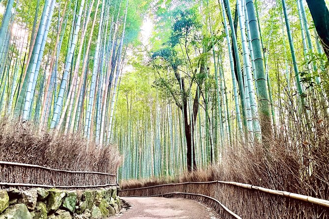 Bamboo Grove Temple and Garden Views Tour - Key highlights and what makes them worth your time