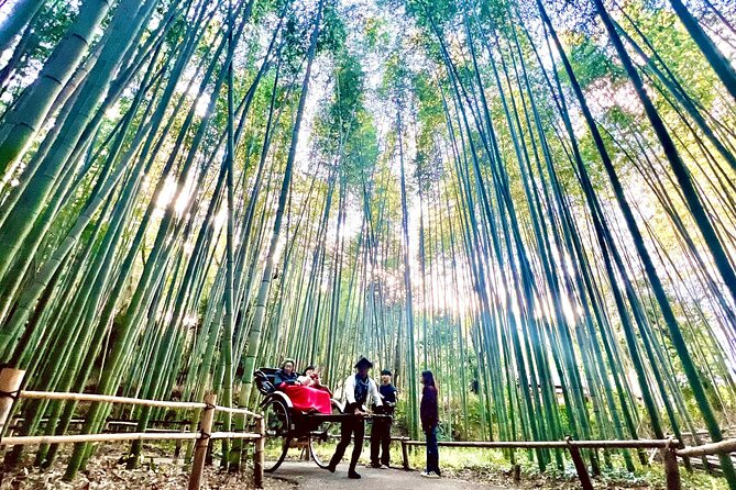Bamboo Grove Temple and Garden Views Tour - Arashiyama Kimono Forest and Togetsukyo Bridge: your first big photo payoff
