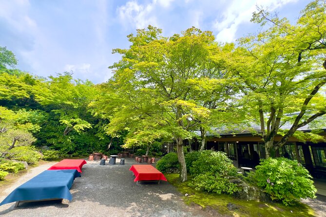 Bamboo Grove Temple and Garden Views Tour - Arashiyama Bamboo Forest: the sound and the light do the work