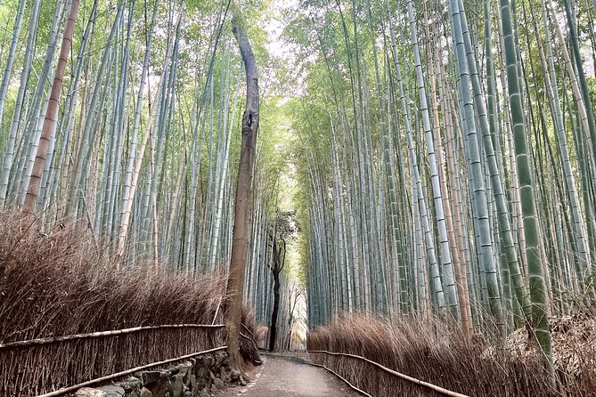 Bamboo Grove Temple and Garden Views Tour - Nonomiya Shrine in a bamboo grove: a smaller stop that changes the mood