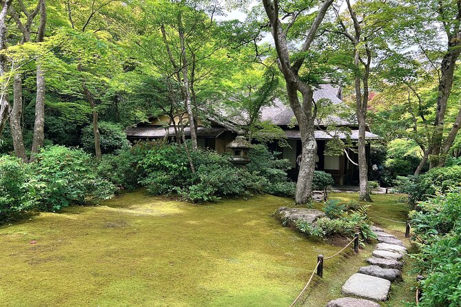 Bamboo Grove Temple and Garden Views Tour - Price and value: where your $60 is going