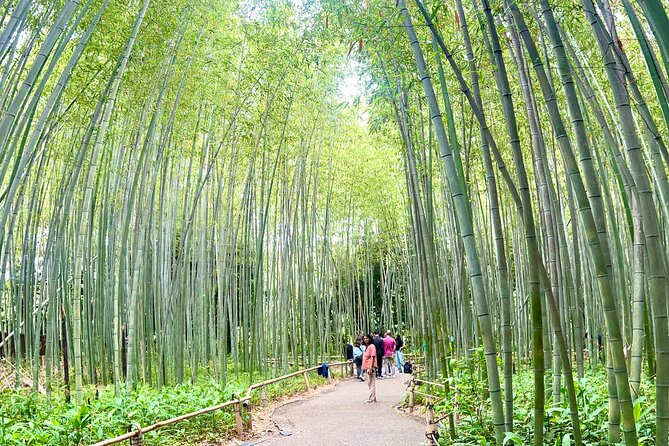 Bamboo Grove Temple and Garden Views Tour - Iwatayama Monkey Park hike: wild macaques, real time, real walking