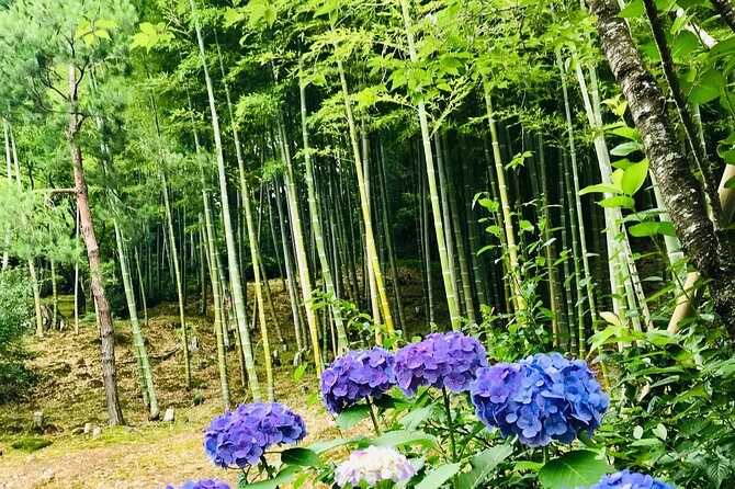 Bamboo LED Lantern Making Experience in Kyoto Arashiyama - Your LED Lantern Take-Home: The Best Part, Plus One Storage Concern