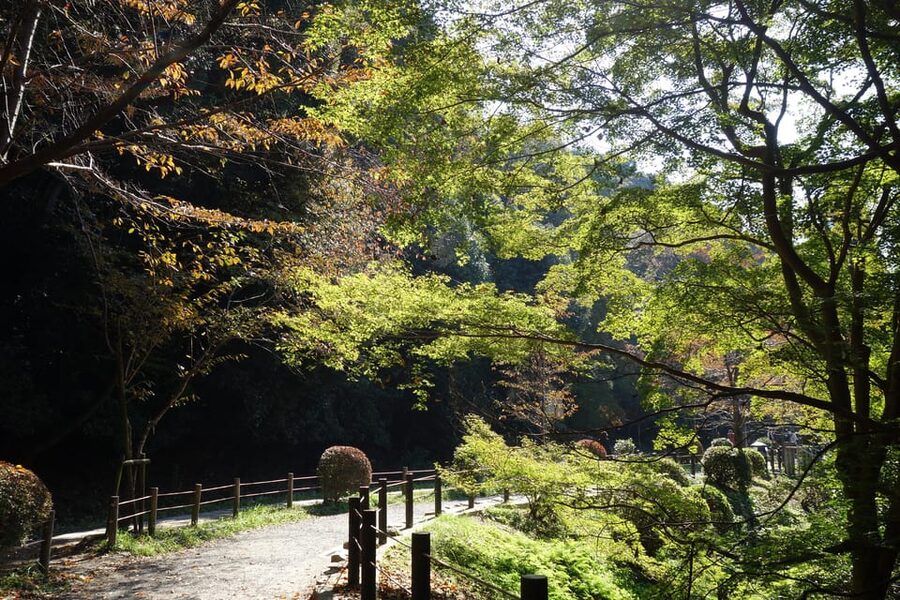 Best of Kyoto: Ginkakuji & Path of Philosophy E-Bike Tour - Key things that make this Kyoto e-bike tour work