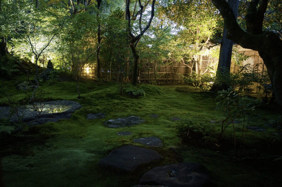 Candlelit Zen: Evening Meditation at Kyoto’s Secret Temple - Who This Fits Best (and Who Might Want Another Plan)