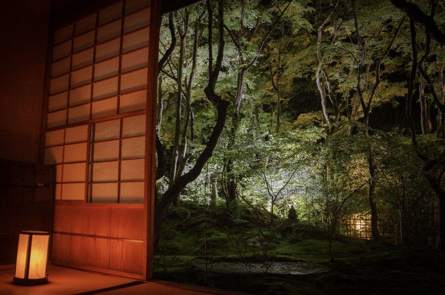 Candlelit Zen: Evening Meditation at Kyoto’s Secret Temple - Tea Ceremony and Discussion: Turning Calm Into Understanding