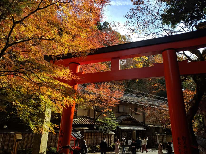 Craig's Kyoto Private Luxury Alphard Tour / The Early Riser - Should you book this Kyoto private sunrise tour?